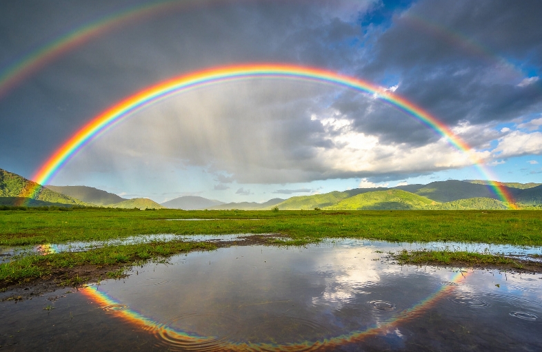 离婚后重建生活：心理学视角下的自愈指南