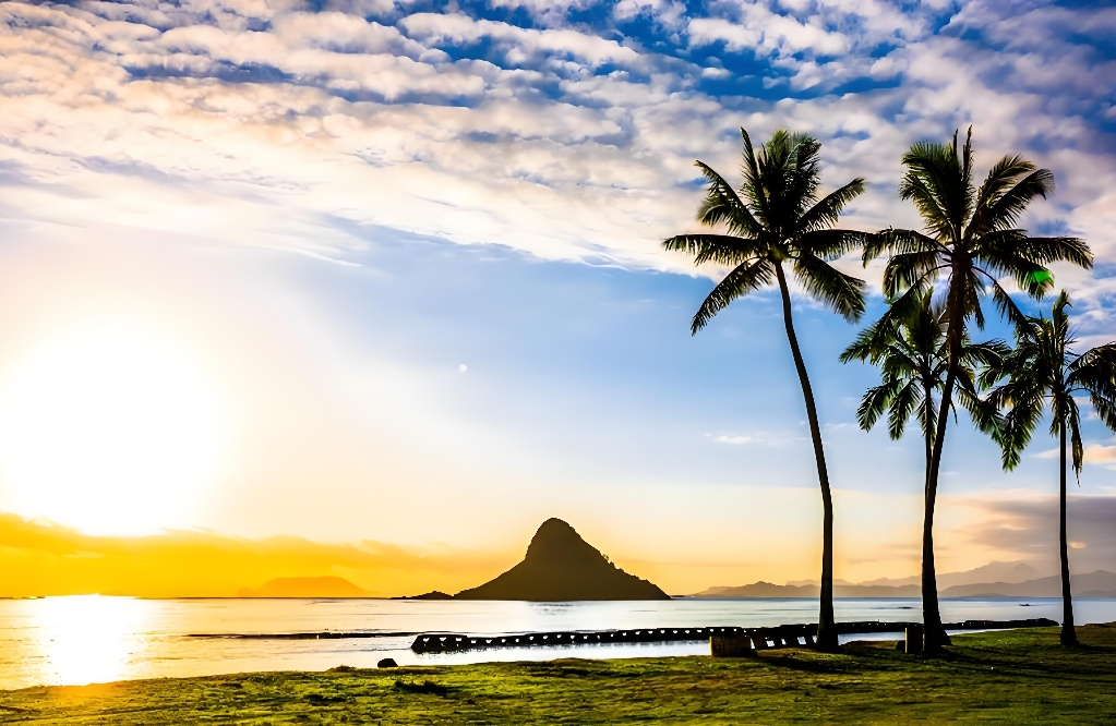 为什么你总爱上比自己大的男人？