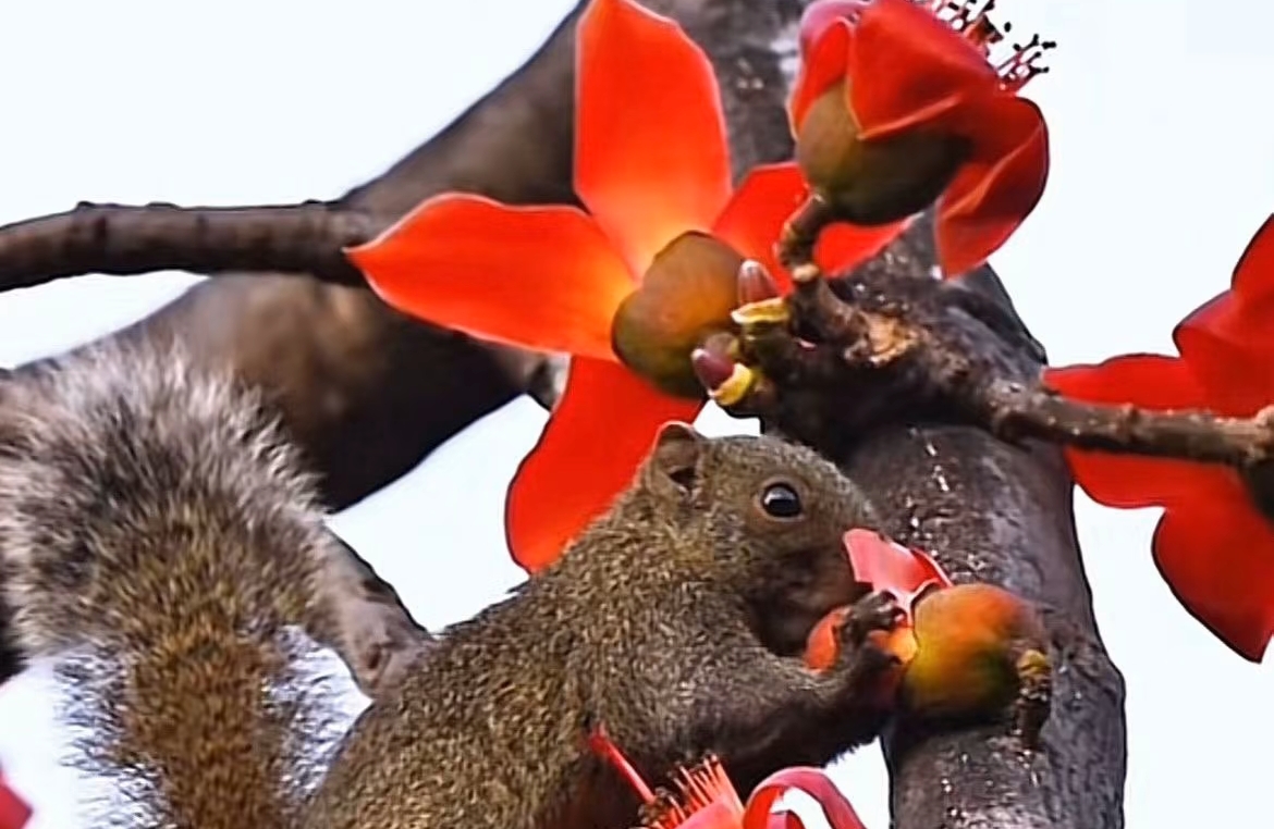 你是“吸渣”体质吗？3个底层逻辑才是护身符