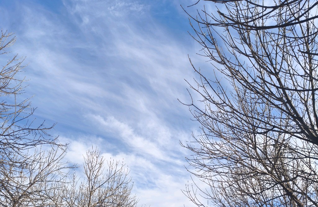 情绪背后，藏着你未被看见的需求