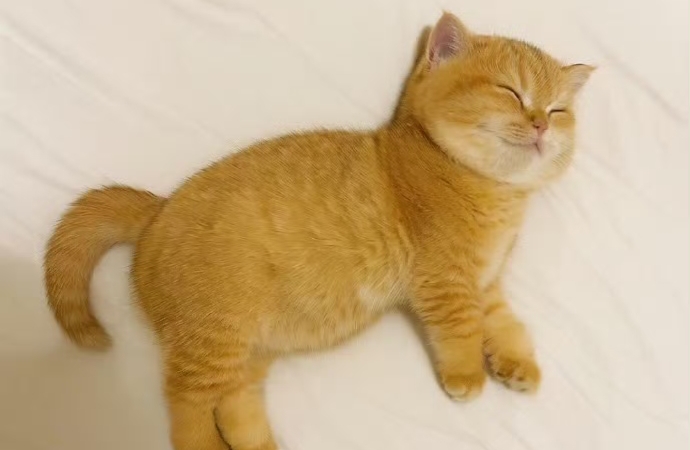 爱占便宜的人，最怕你学会温柔说'不'