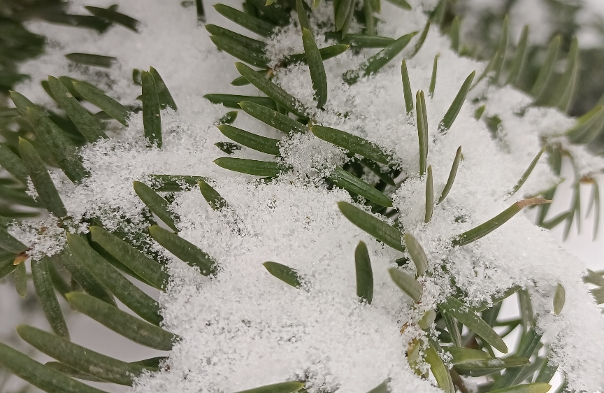 爱情里的一闹一笑，如何不翻车？