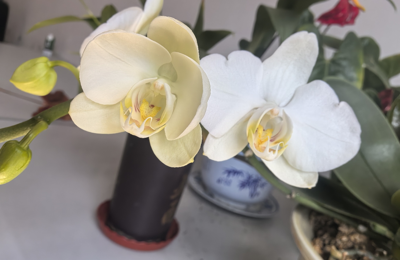 别让执念，毁了你的日子