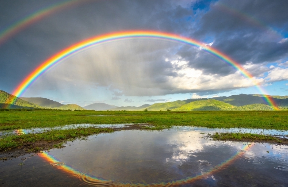离婚后重建生活：心理学视角下的自愈指南