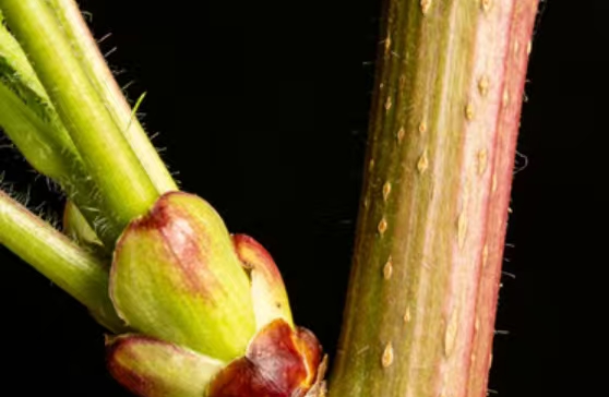 晚上总胡思乱想，睡不着咋办？