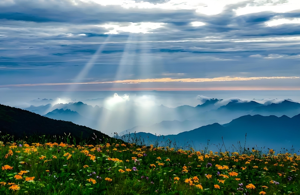 恋爱拉黑？3秒判断真性还是假性分手