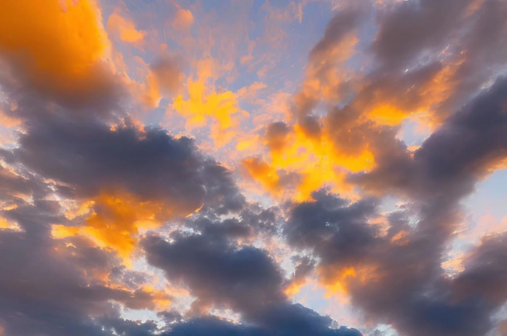 职场：生存与发展之间的关系