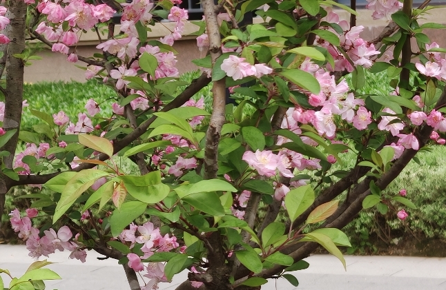 冰山理论如何应用于亲子沟通？