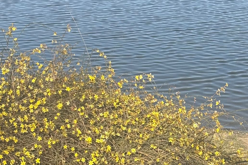 我很想恋爱，但每次有人靠近我就想逃怎么办？