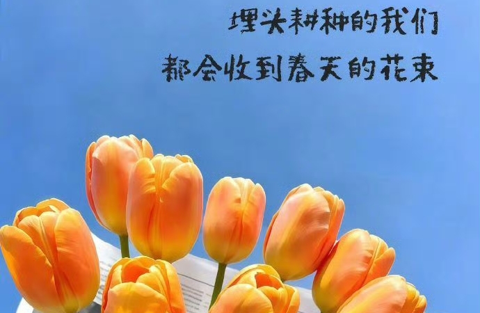 想太多会塌，做一点才稳：搭建秩序的方法