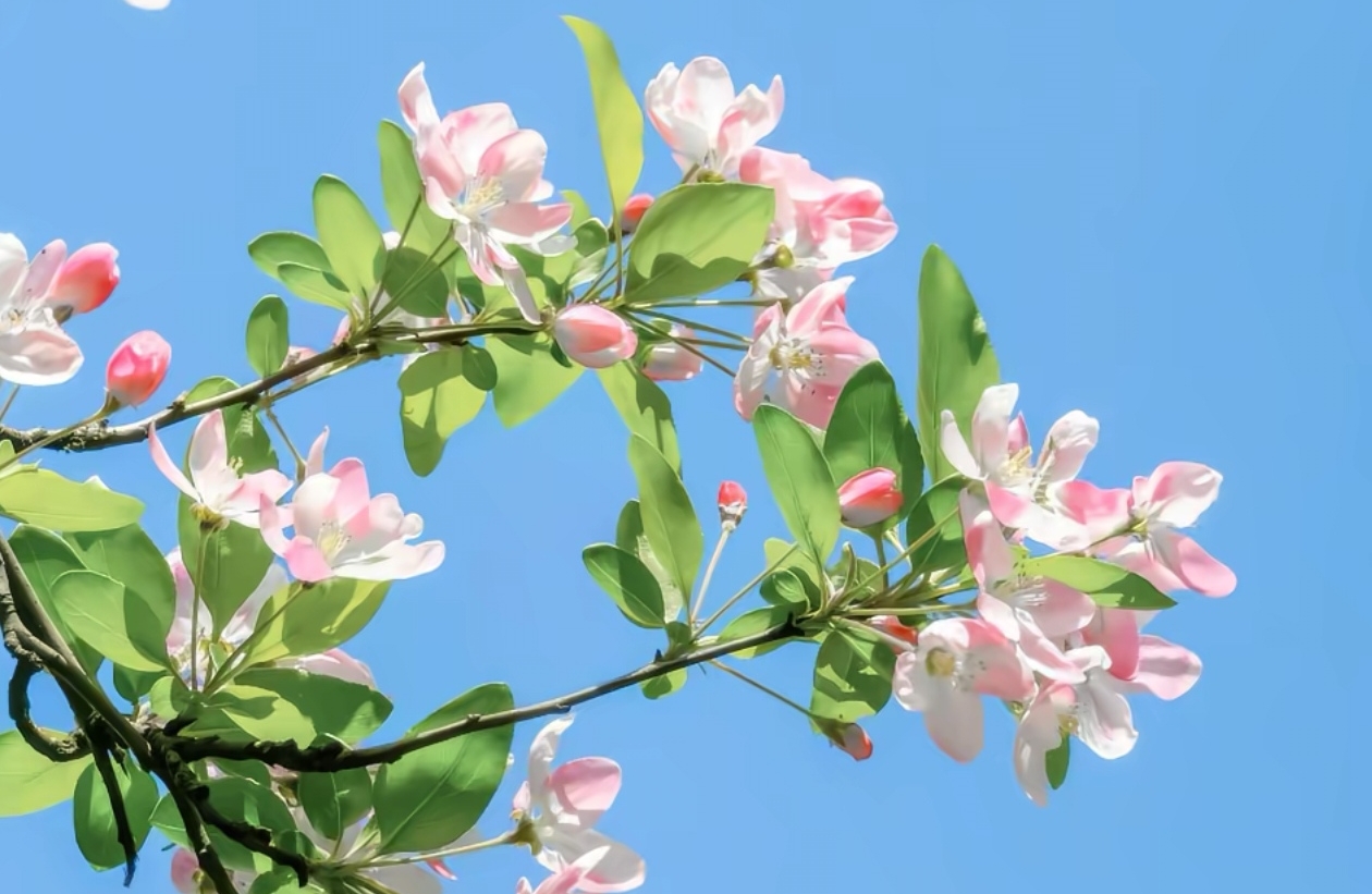 如何摆脱职场上的迷茫？