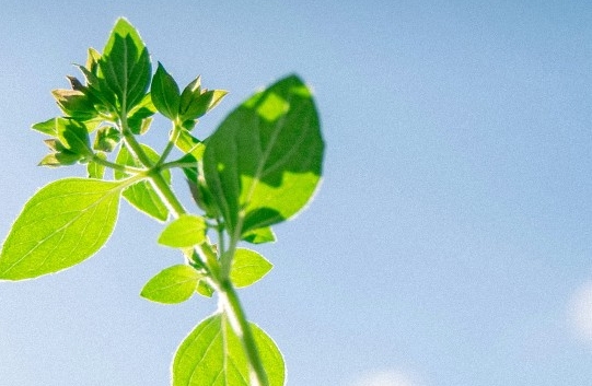 总忍不住内耗？3个方法停止自我折磨！