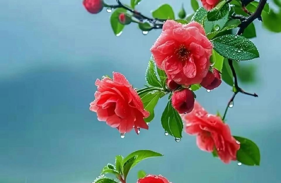 婚姻感情不顺？3 招先稳住自己情绪