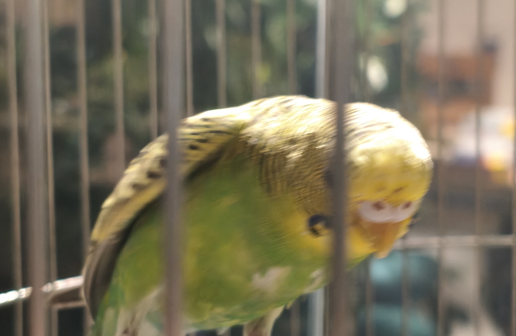 婆媳矛盾的真相：不是谁错了，而是我们都站在了自己的立场