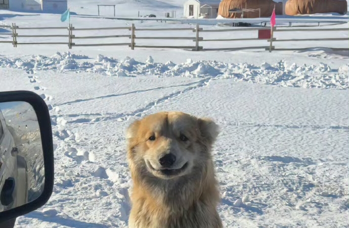 叛逆是孩子的蜕变，父母的修行：共同穿越