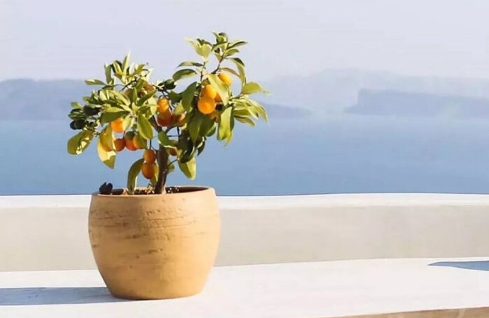 适合中老年人抗焦虑的音乐。