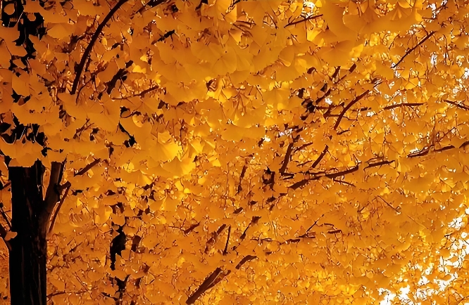 身心紧绷？三招快速缓解精神内耗