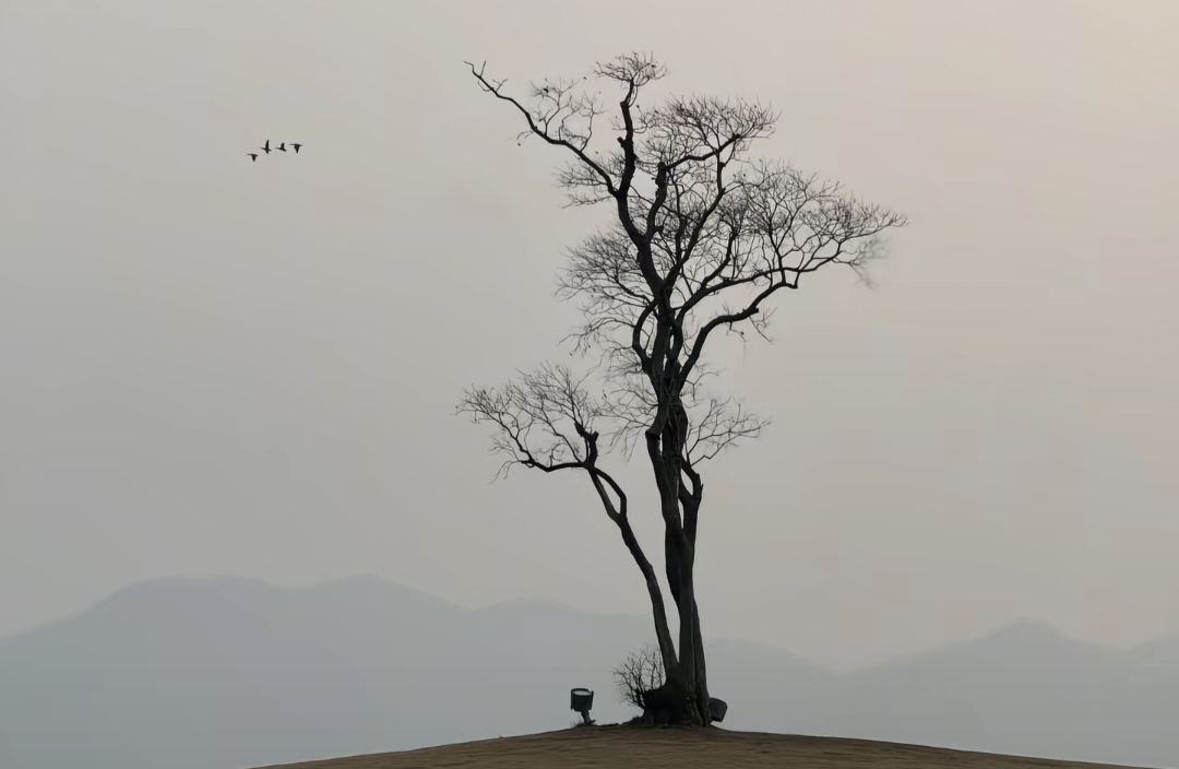 你爱的不是他，而是投射出来的理想父母