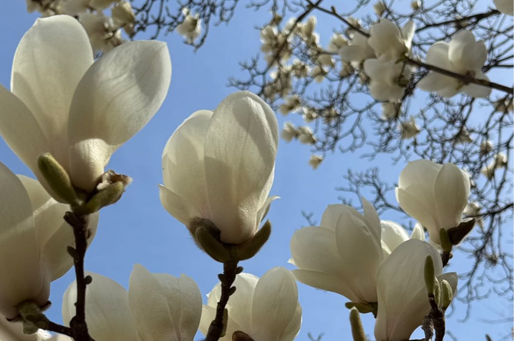 如何用正念疗法缓解焦虑呢