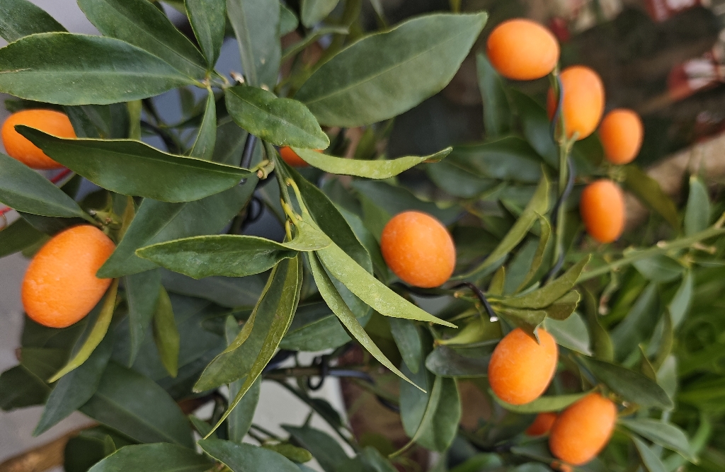 解锁成长型思维与固定型思维的差异