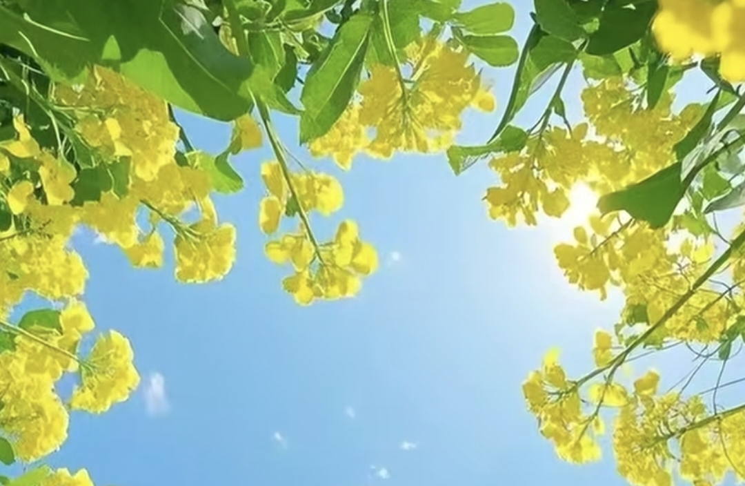 爱，是可以练习的能力，别再只靠感觉去爱