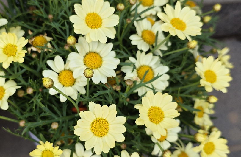 离婚又怕伤害孩子，这几点一定要知道