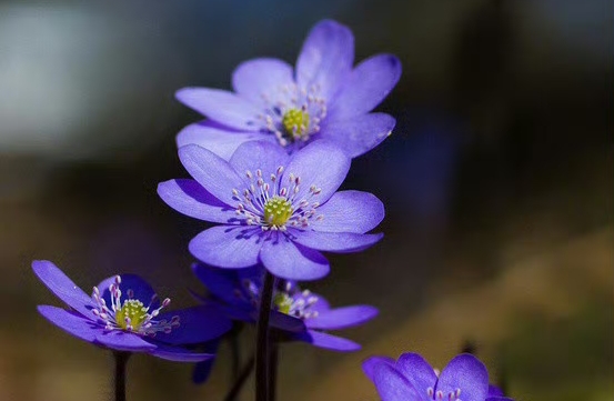 孤独没人陪伴？3招好好照顾自己