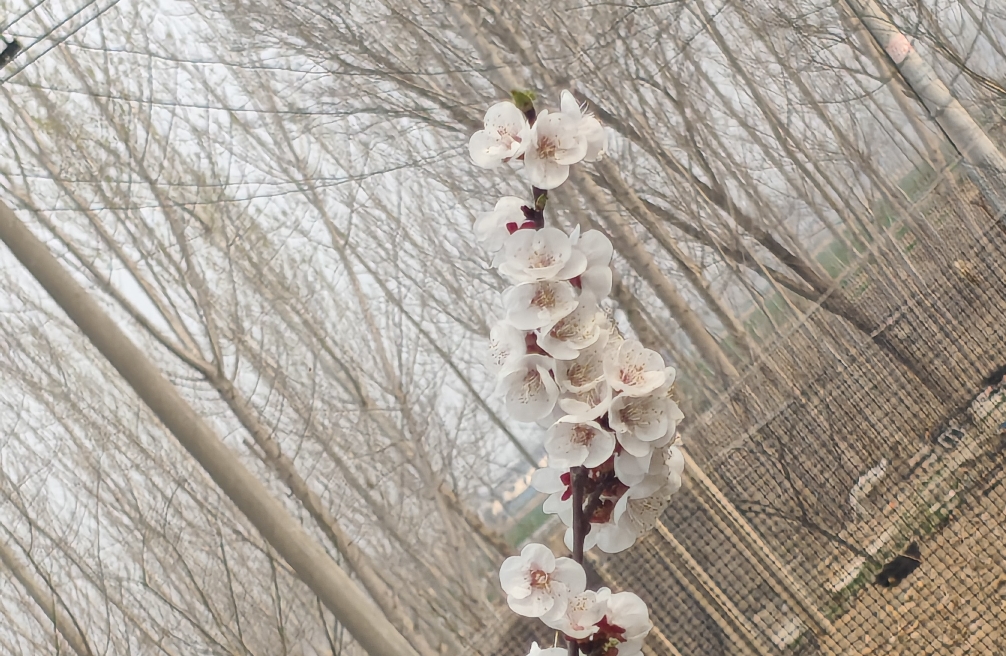 婆媳关系心里手记：边界与共情，化解家庭隐形纠葛