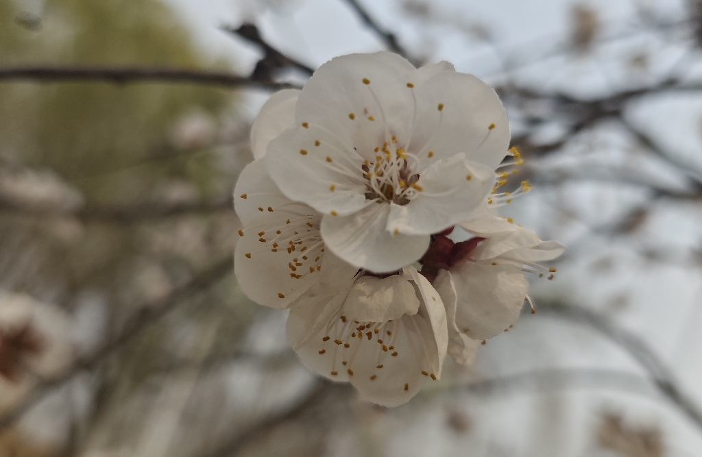 把短暂的热情，沉淀为长久力量