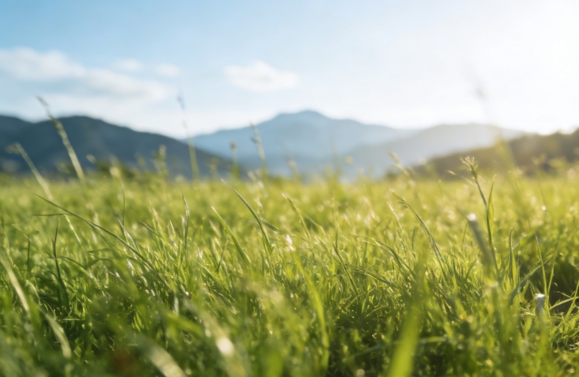 职场压力大？学会这几点，慢慢稳住自己