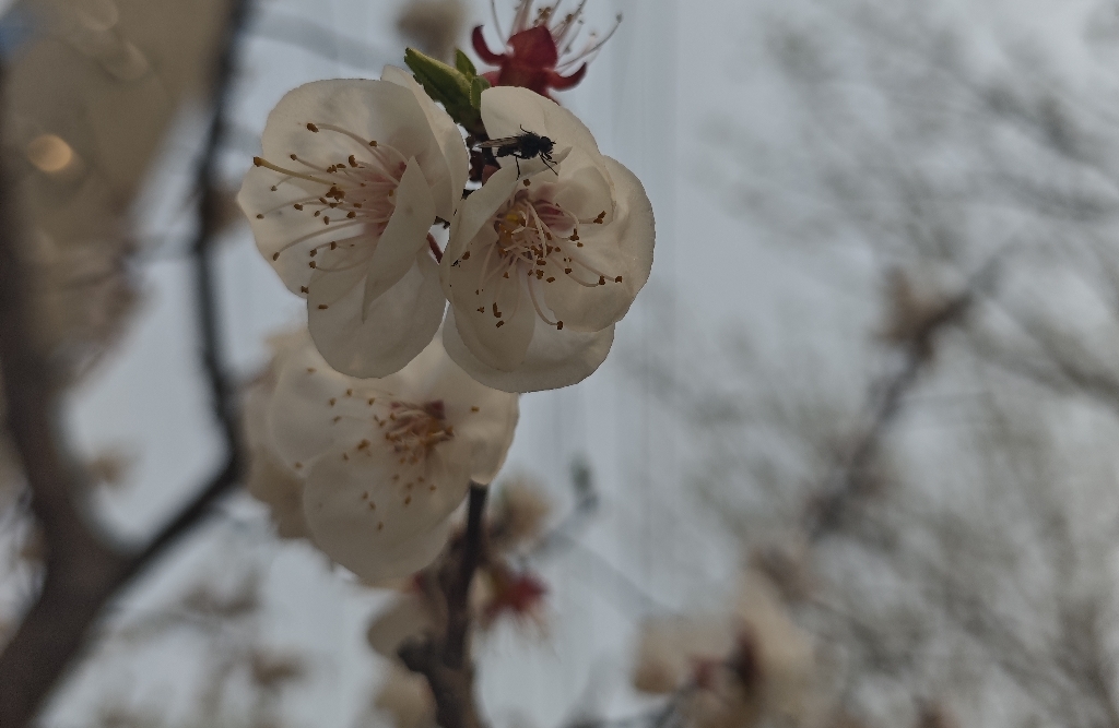 亲密关系的痛，多是期待错位