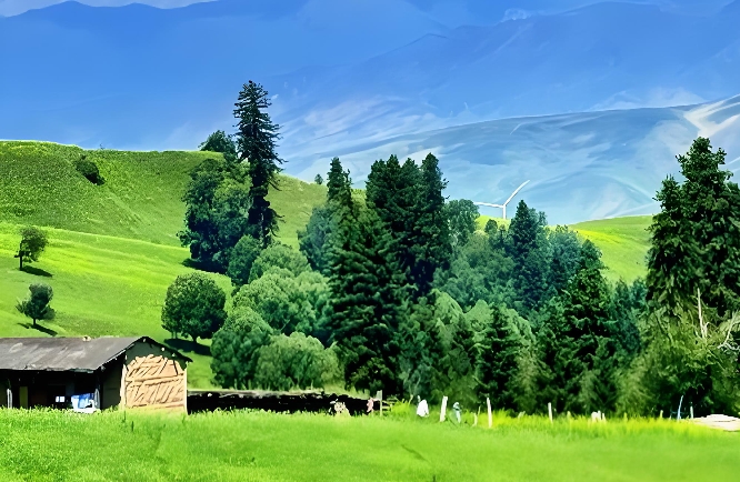 为何越深爱，反而越被嫌弃？