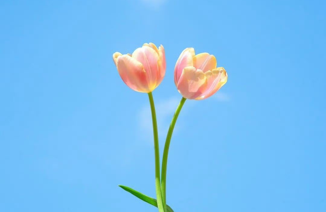 关系里总受伤？3招守住自己边界