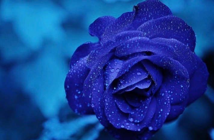 被负面情绪困住？3步慢慢走出来