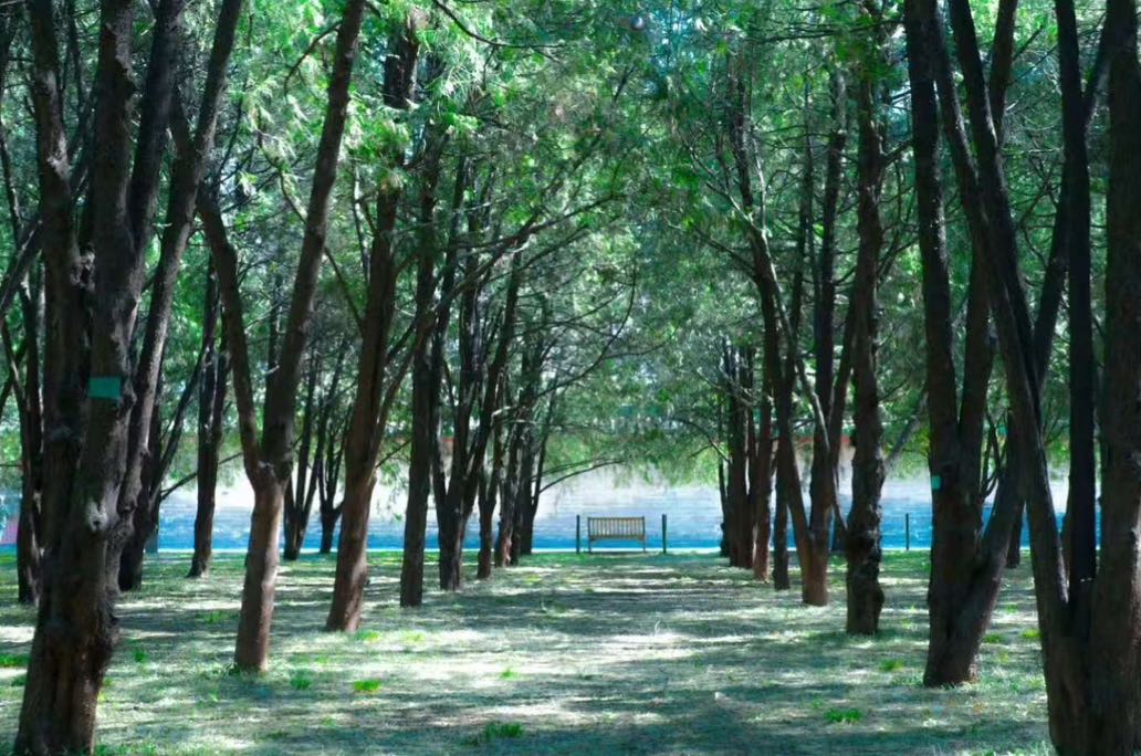 情绪上头别硬扛！5个即时小技巧，快速平复愤怒与焦虑
