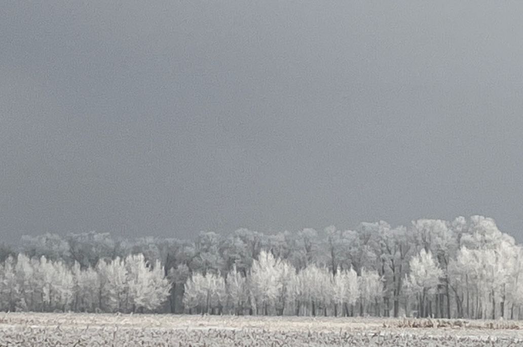 怎么破解自我否定？