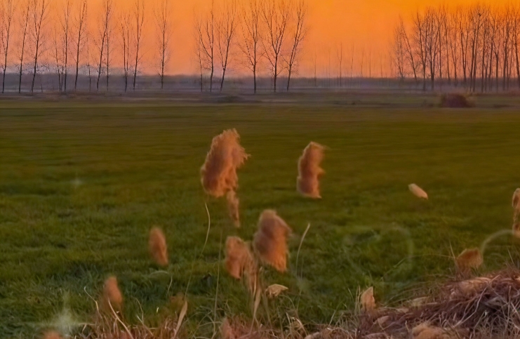 离婚后最伤孩子的从不是分开，而是开口的方式和内容