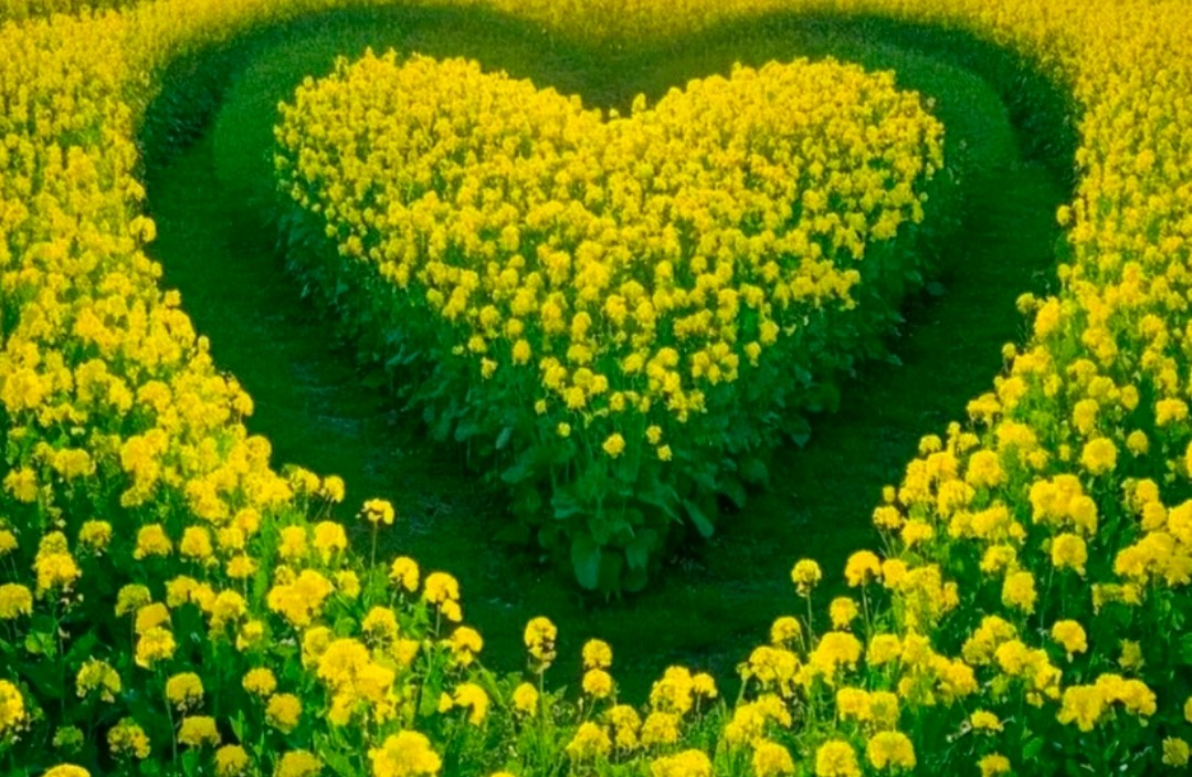 如何利用性格优势加速个人成长？