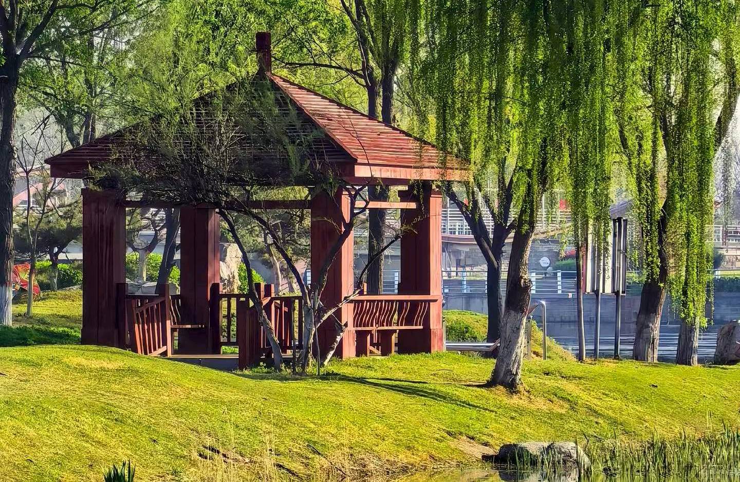 告别报复性熬夜：找回睡眠与自律