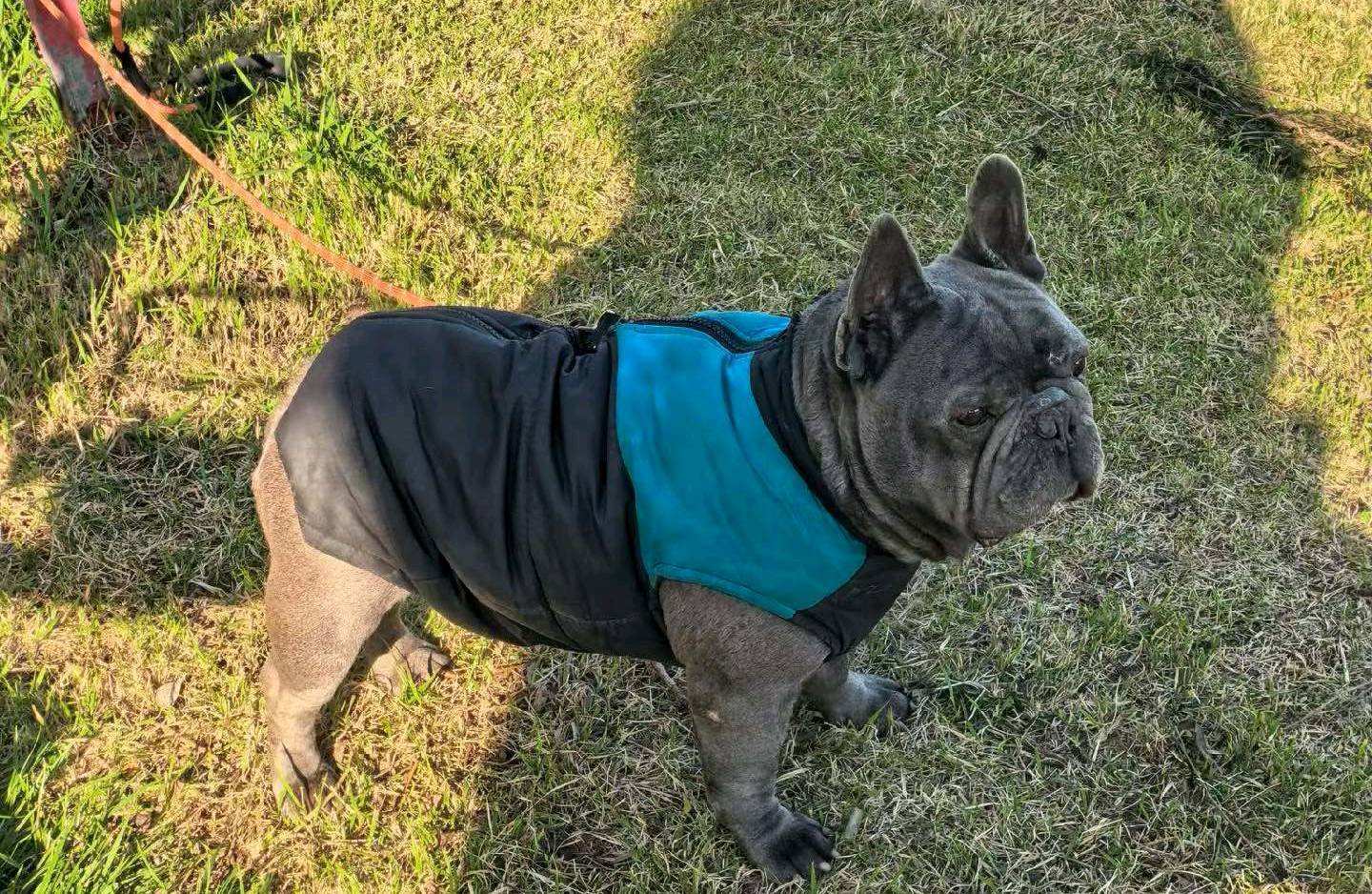 亲密关系陷阱：别让“过度依附”毁了你的感情