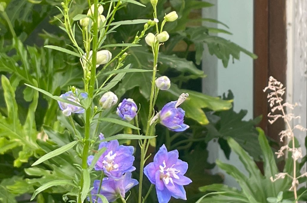 内心缺少秩序感有哪些表现？