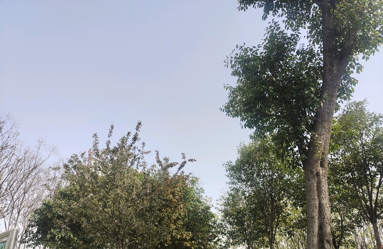 为什么不敢停下来呢？因为生存恐惧！