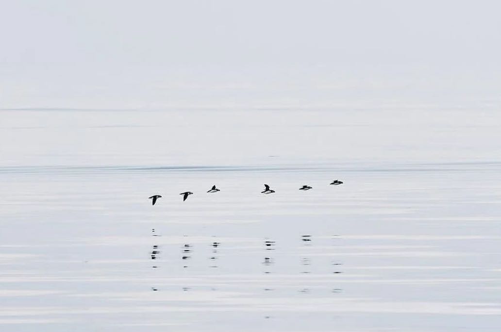 💥职场博弈手记：在利益拉扯中守心，不内耗亦不失态🔥