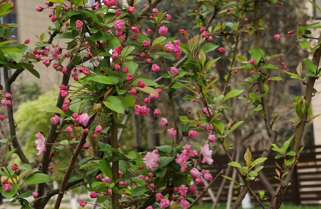 怎样用冰山理论分析人的潜在需求？