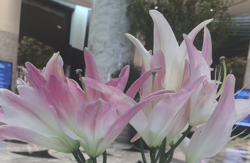 如何引导伴侣为你付出，而不是你一味迁就？