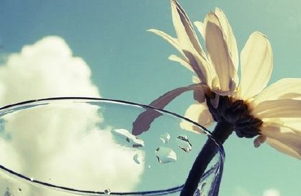 边界的含义是什么？