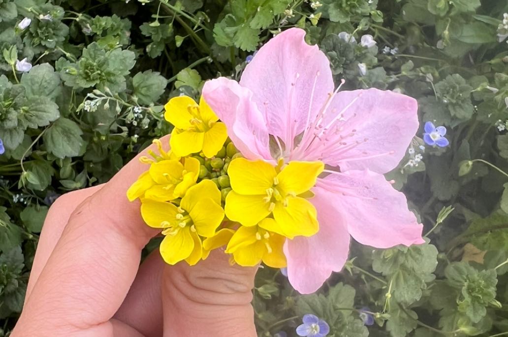 
遭遇婚姻背叛后，该如何自愈与抉择？