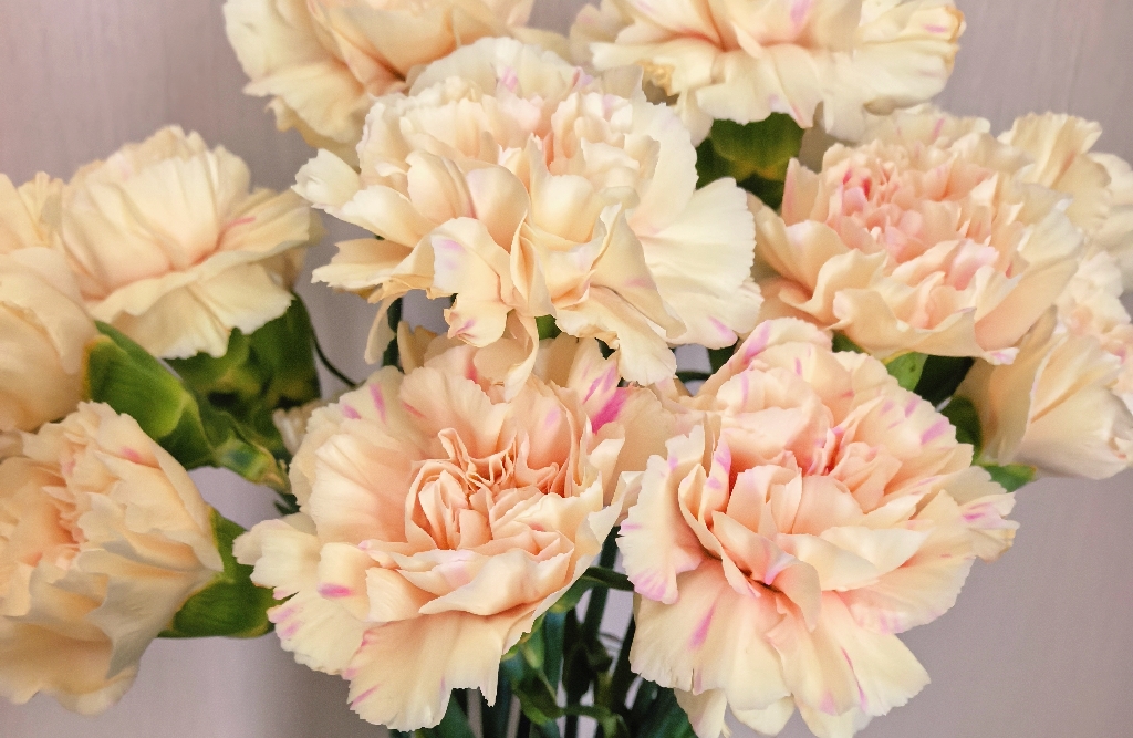 遇到婚姻危机怎么修复