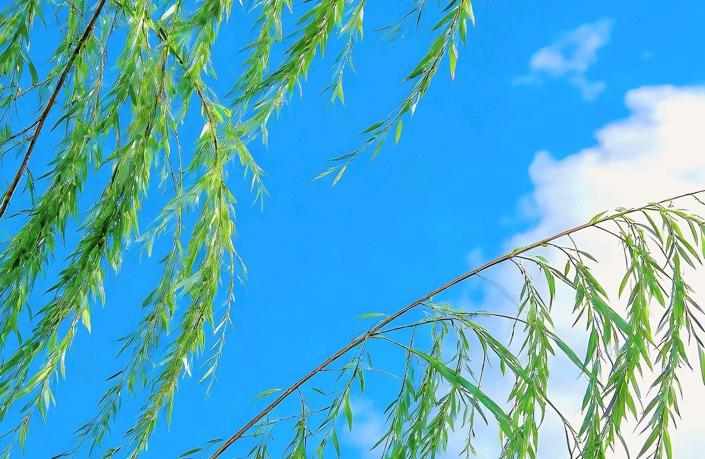 在爱上对方之前，走好这几步