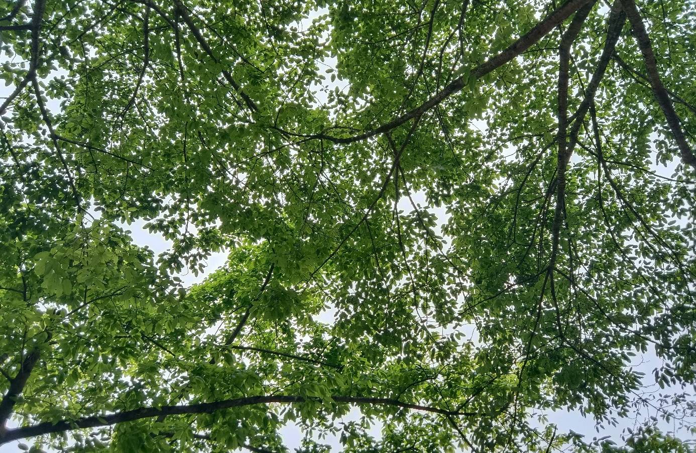 夫妻价值观差异太大，如何避免孩子在中间左右为难？